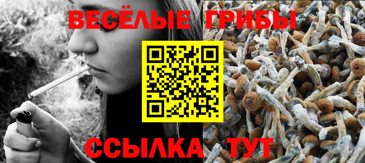 Артёмовский  Псилоцибиновые грибы ЛСД  Галлюциногенные грибы прущие грибы  Вход с VPN 